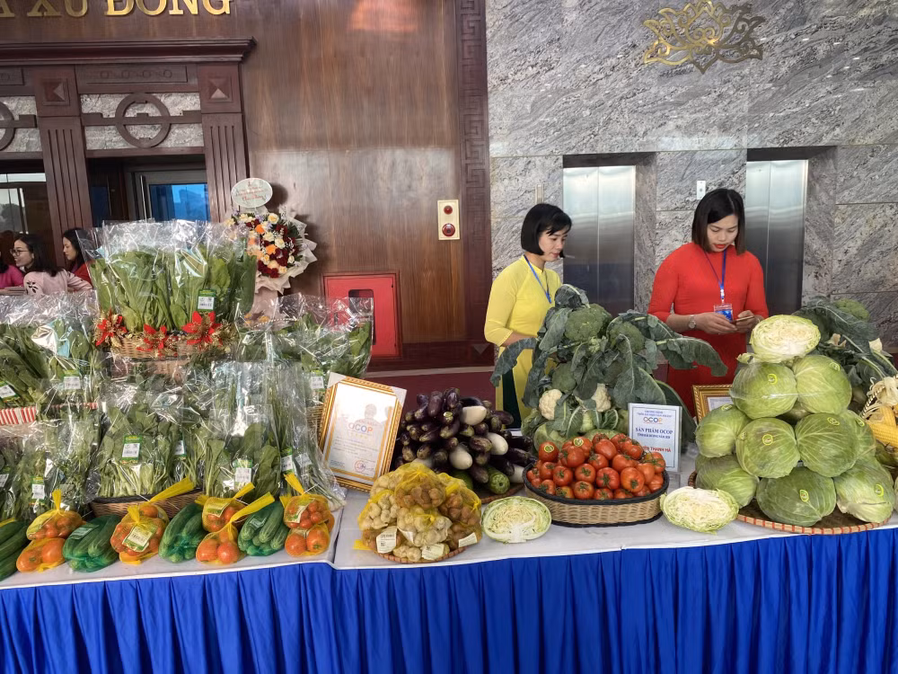 hai duong hoi nghi tong ket san xuat nam 2023 trien khai ke hoach san xuat nam 2024 cac tinh phia bac hinh 6