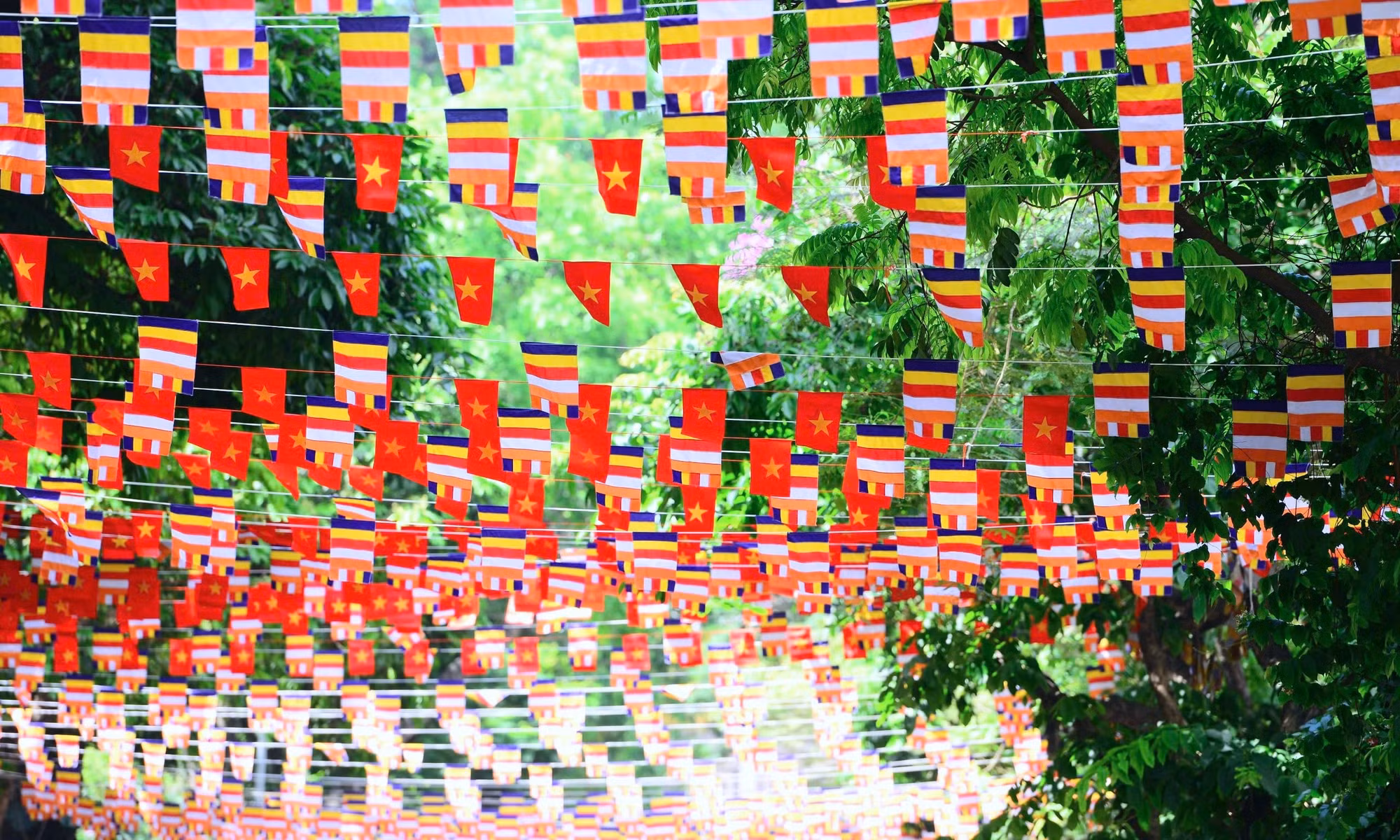 e1f9b1fb-9a21-46e2-8938-7c1e9553a5bc_1_201_a.jpeg