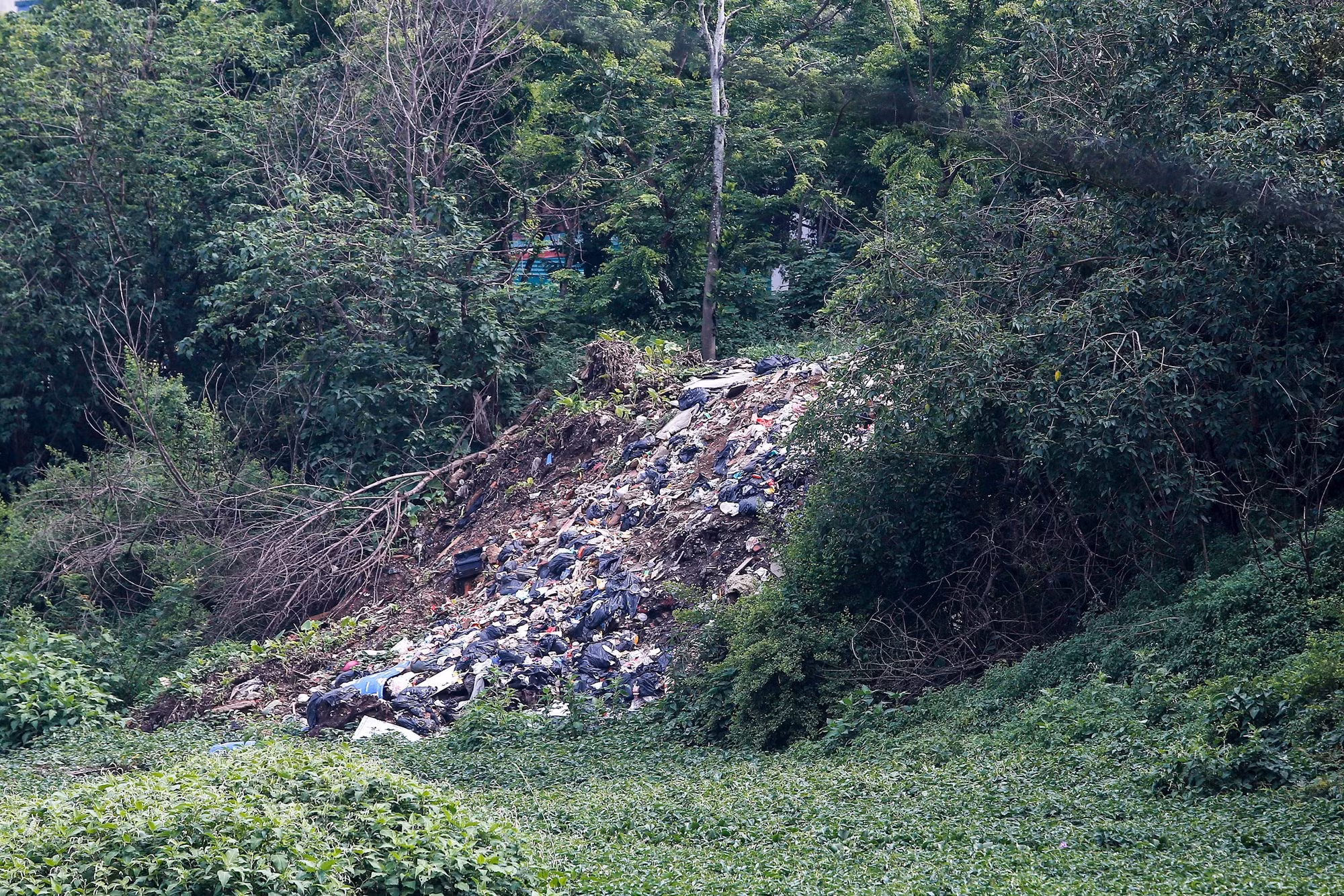 img_9522.jpeg