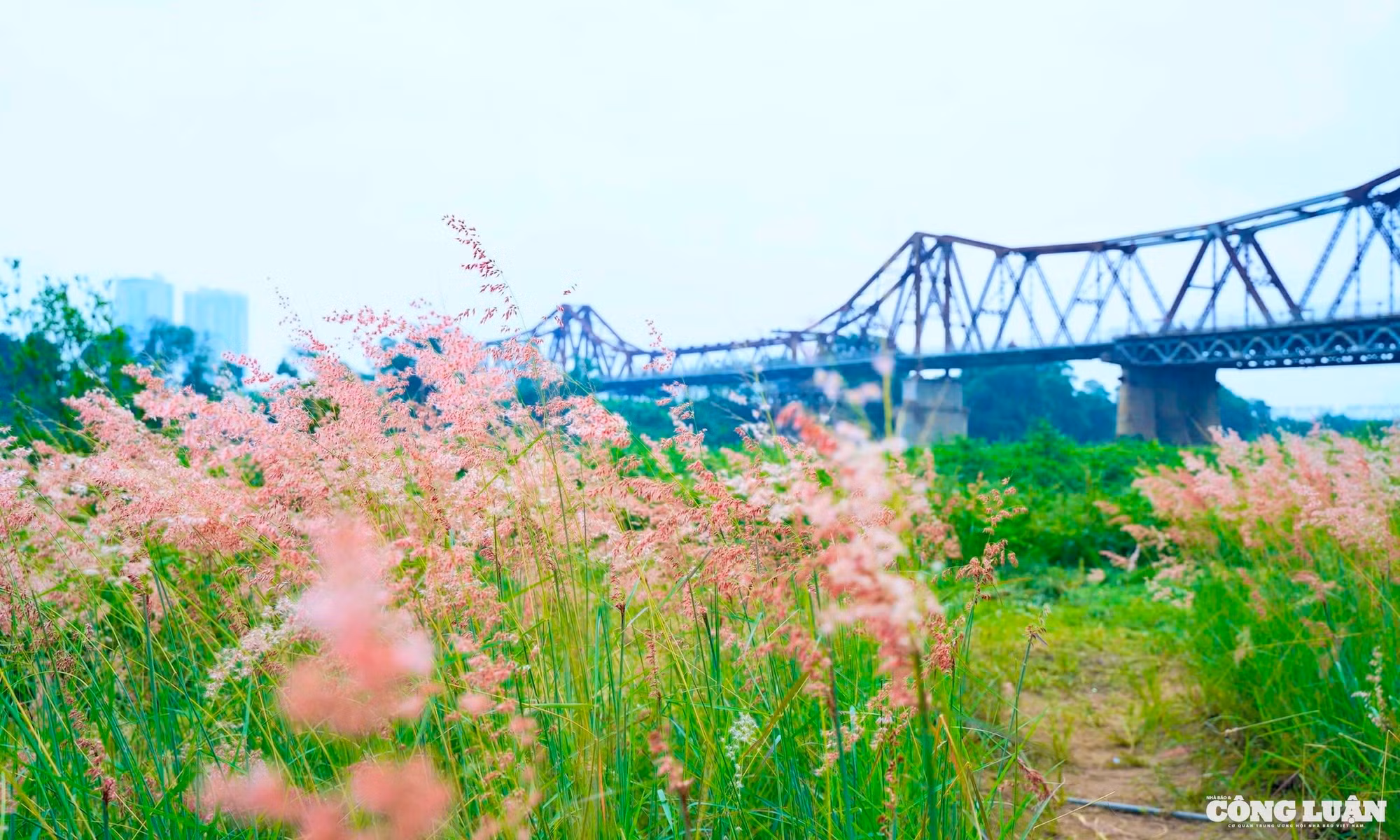 5855bade-9d22-4a3f-a6e2-7f2d2c446964_1_201_a.jpeg