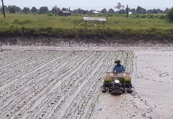 Mỹ Xuyên đẩy mạnh áp dụng tiến bộ khoa học kỹ thuật trong sản xuất nông nghiệp.