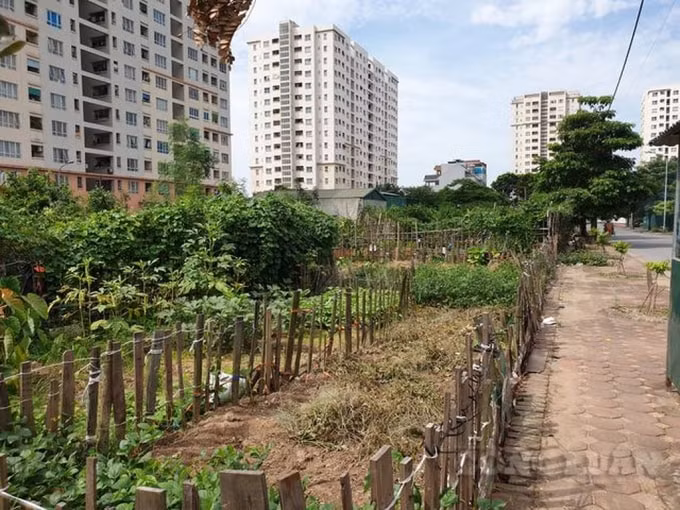 Hiện trạng khu đất đấu giá tại Khu đô thị Sài Đồng