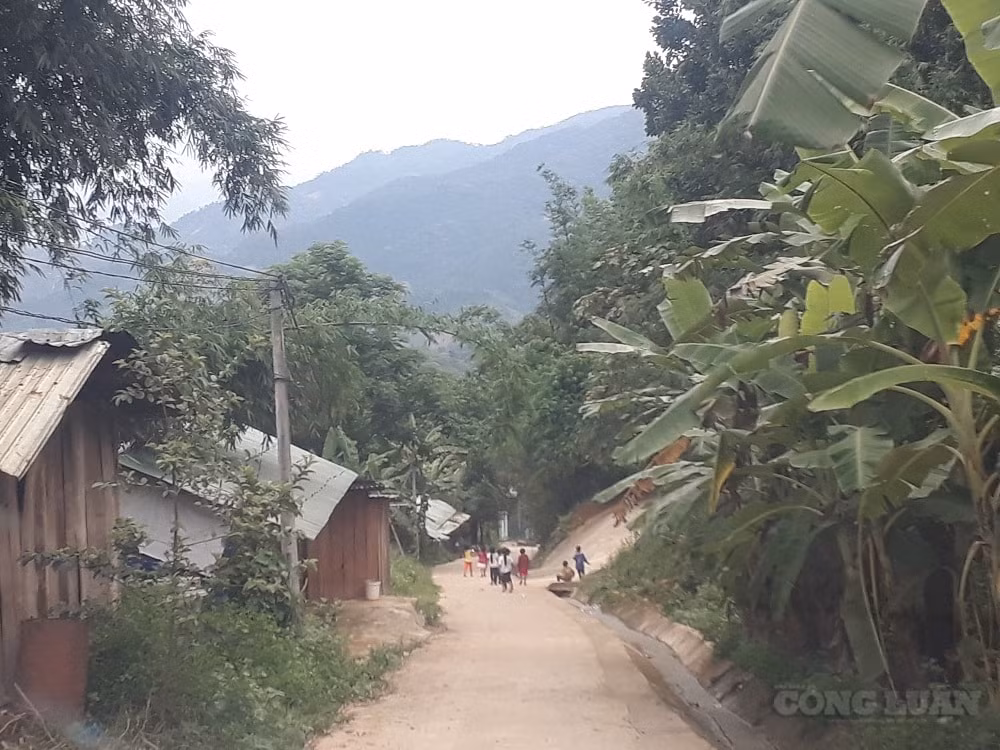 Nhiều đồng bào dân tộc thiểu số ở huyện Nam Trà My vẫn chưa được hưởng lợi từ chính sách rừng theo Nghị định 75 của Chính phủ. (Ảnh: H.T)