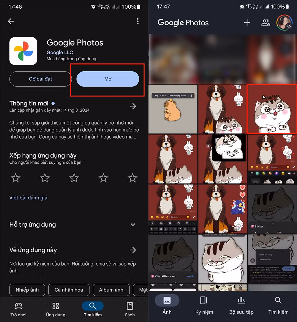 cach su dung google lens tren dien thoai va may tinh hinh 6