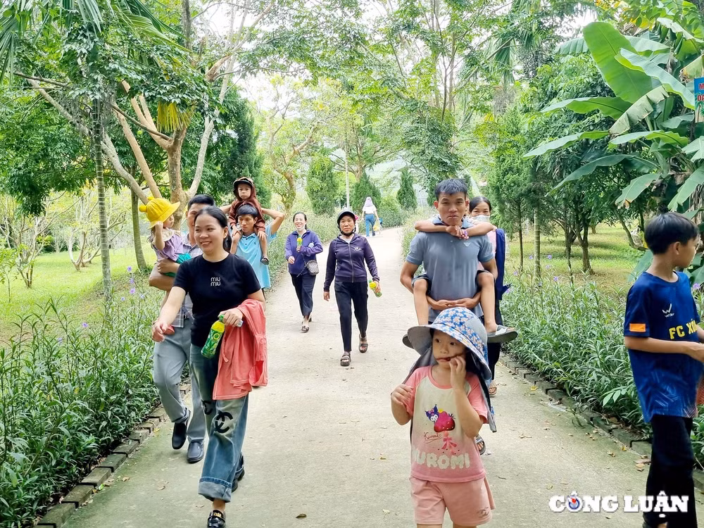 vuon sinh thai trai nghiem eo gio o nghe an hut khach dip nghi le quoc khanh 2 9 hinh 7