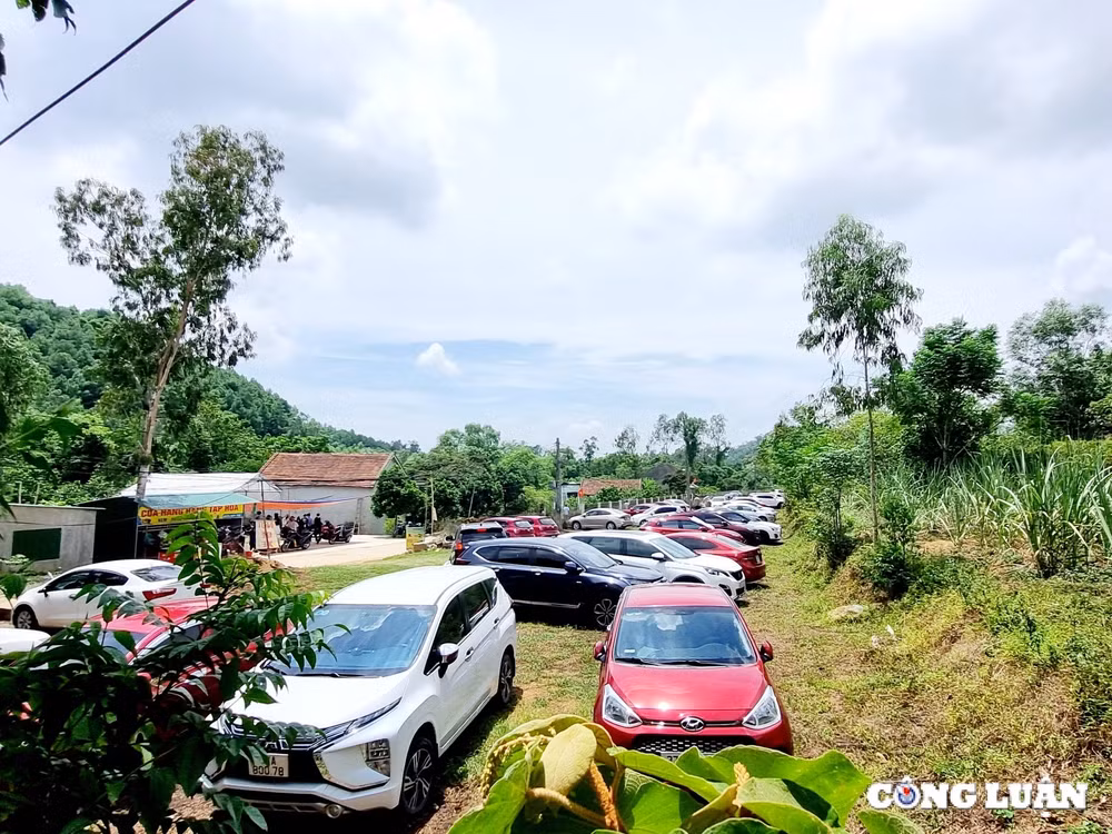 vuon sinh thai trai nghiem eo gio o nghe an hut khach dip nghi le quoc khanh 2 9 hinh 6