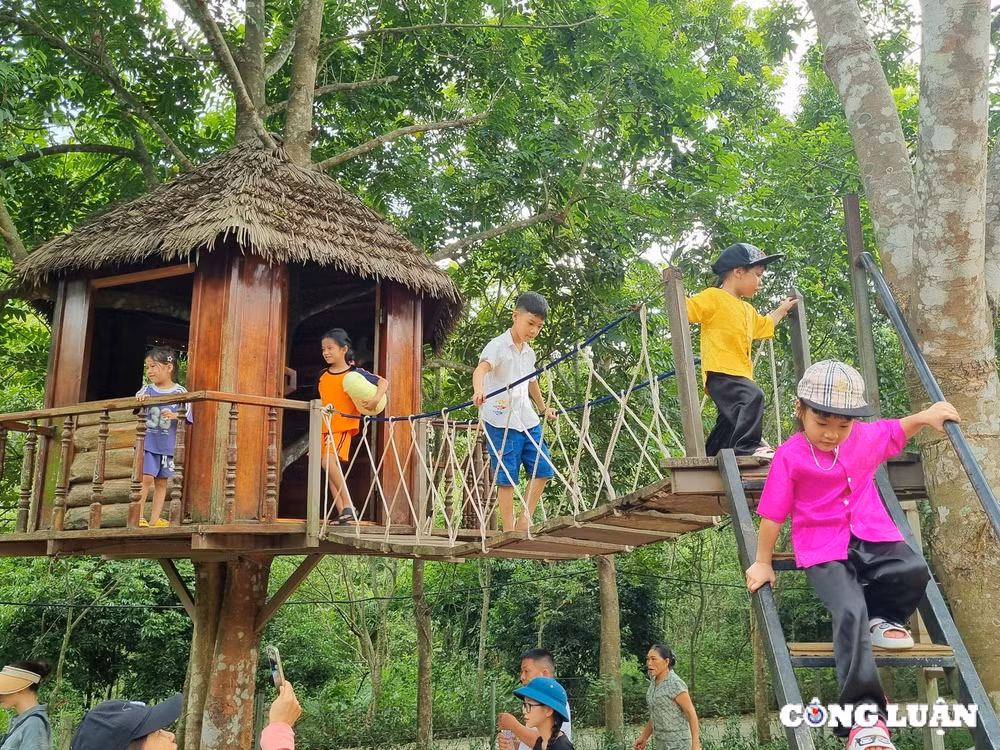 vuon sinh thai trai nghiem eo gio o nghe an hut khach dip nghi le quoc khanh 2 9 hinh 5