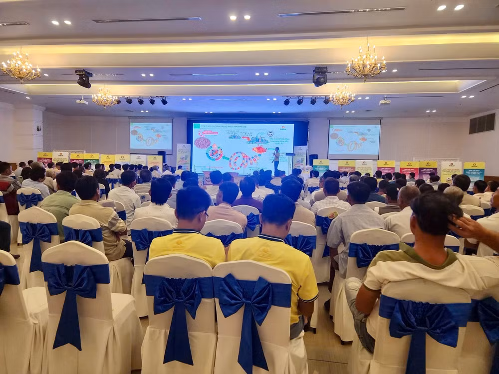 cung nong dan tay ninh nang cao hieu qua san xuat voi npk ca mau hinh 2