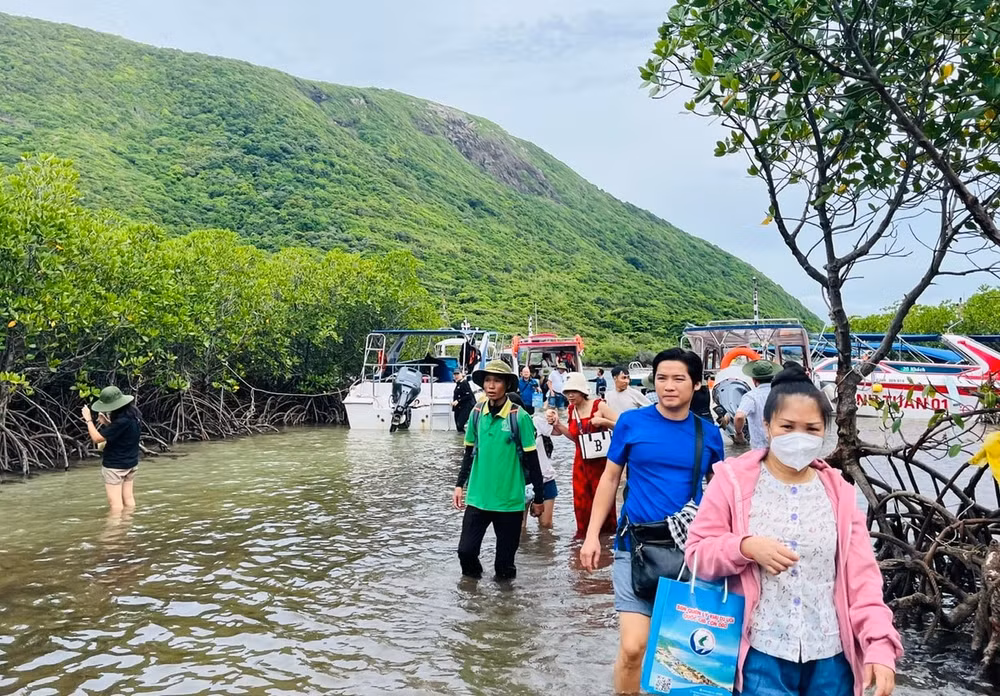 du lich viet nam huong toi net zero chuyen doi xanh kien tao tuong lai ben vung hinh 2