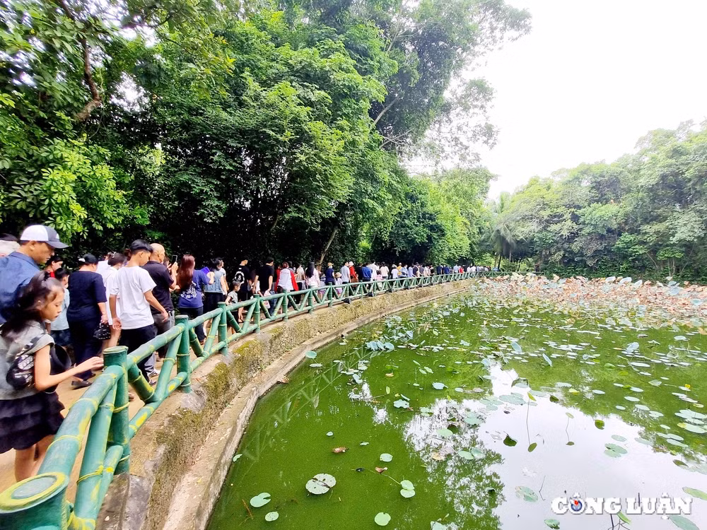 hang nghin du khach ve tham que bac trong dip le quoc khanh hinh 5