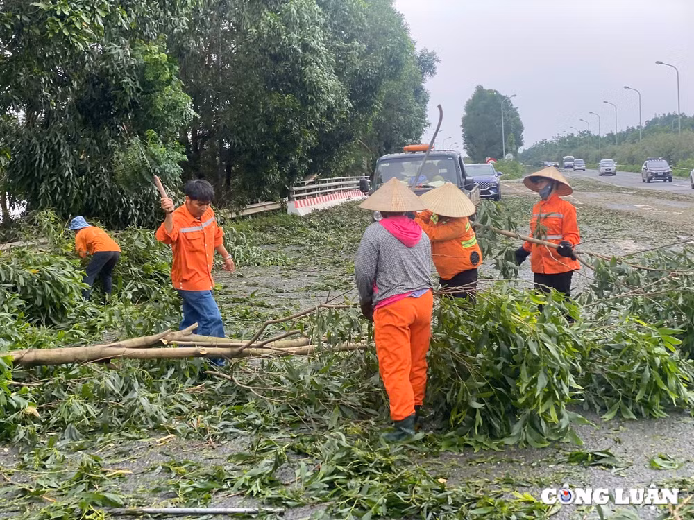 ha noi tiep tuc ra cong dien khac phuc hau qua sau bao hinh 1