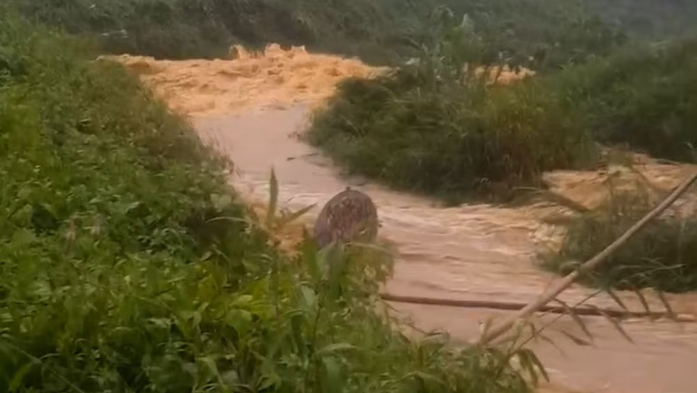 canh bao lu quet tai 6 tinh mien bac nguoi dan nen di chuyen den noi an toan hinh 2