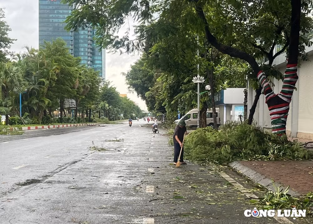 ha noi cay xanh gay do ngon ngang tren nhieu tuyen duong sau bao yagi hinh 13