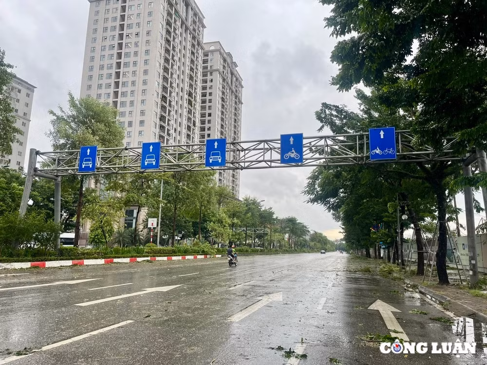 ha noi cay xanh gay do ngon ngang tren nhieu tuyen duong sau bao yagi hinh 10