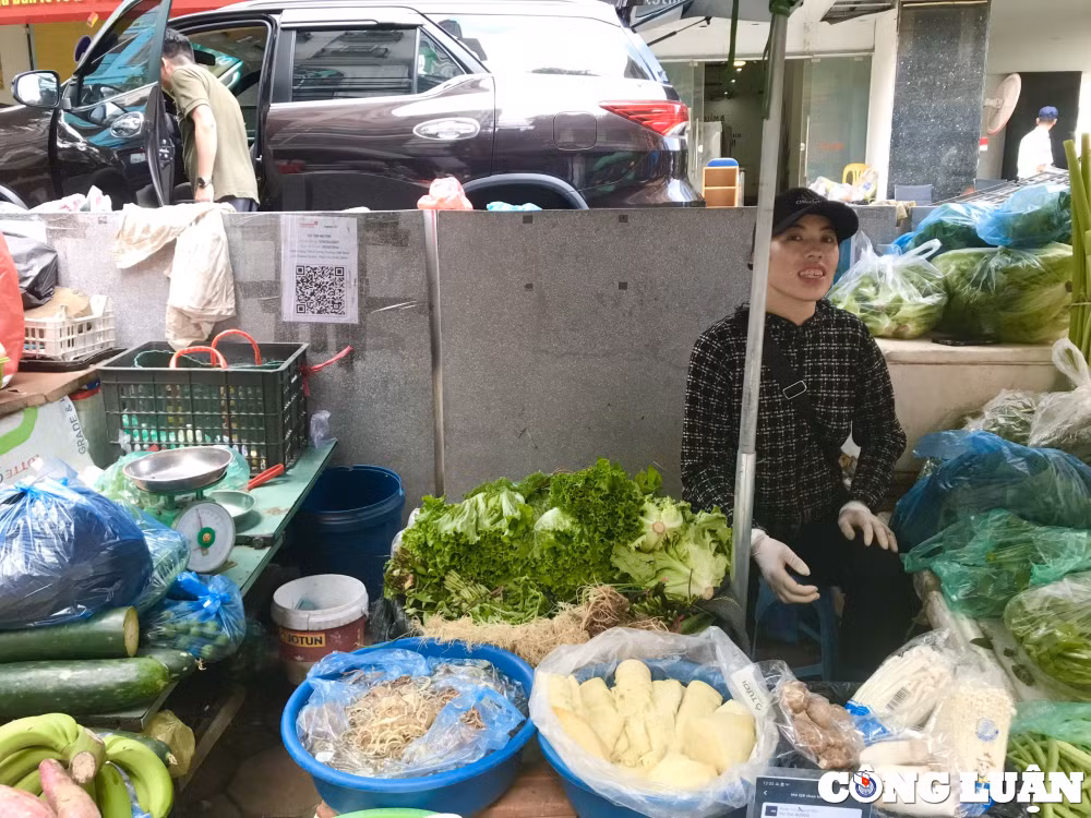 ha noi di cho thoi 40 nguoi dan khong can mang vi tien hinh 1