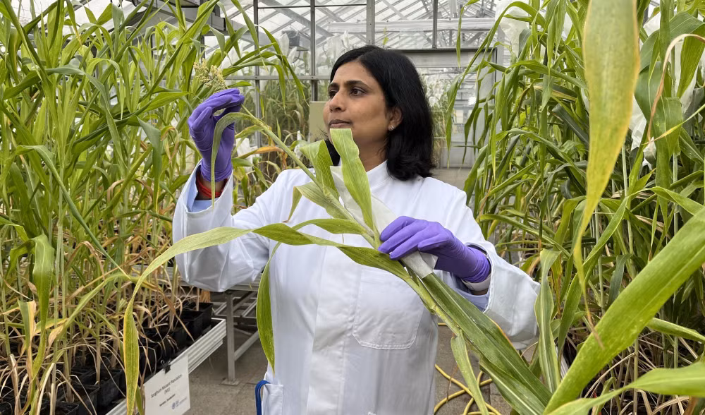 cac nha khoa hoc gieo hat trong khong gian de thich ung voi bien doi khi hau hinh 1