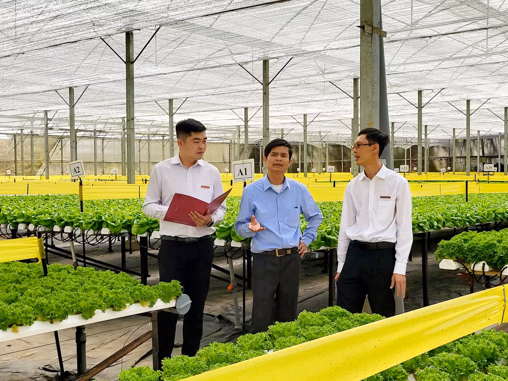agribank quyet liet trien khai cac giai phap ho tro doanh nghiep vuot kho hinh 2