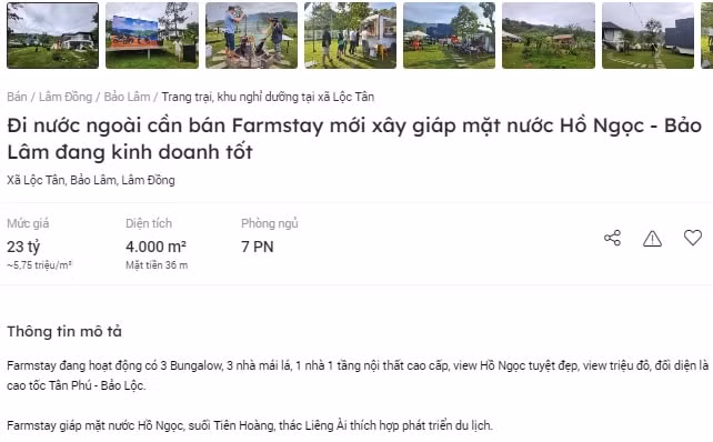 nhieu homestay khu nghi duong tai lam dong bi rao ban cat lo vi ap luc tai chinh hinh 3