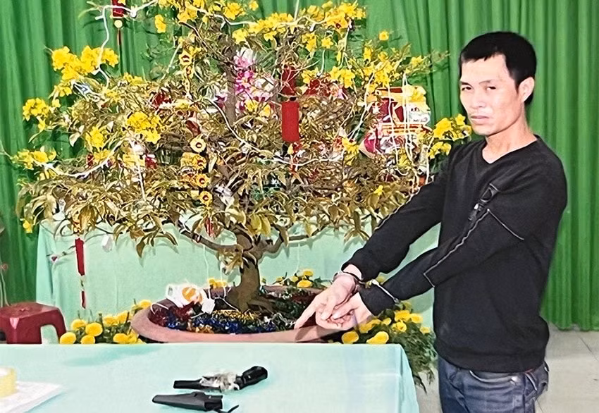 bat giu doi tuong truy na ve hanh vi tang tru trai phep vu khi quan dung hinh 1