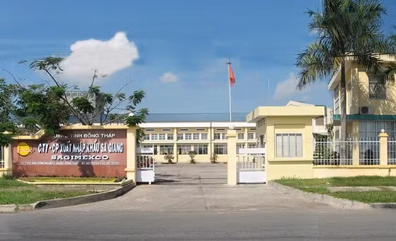 xuat nhap khau sa giang sgc du kien chi hon 7 ty dong de tra co tuc 2020 hinh 1