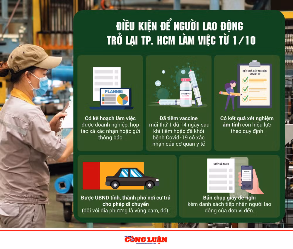infographic dieu kien de nguoi lao dong tro lai tp hcm lam viec tu 1 10 hinh 1