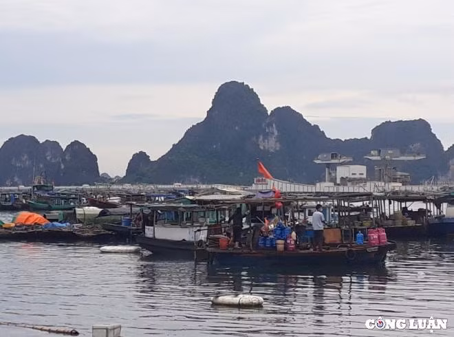 quang ninh cac co so kinh doanh dich vu bat buoc phai lap ma qr code hinh 1