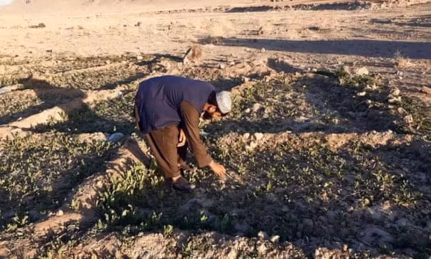 an do thu giu 3 tan heroin tri gia 27 ty usd tu afghanistan hinh 1