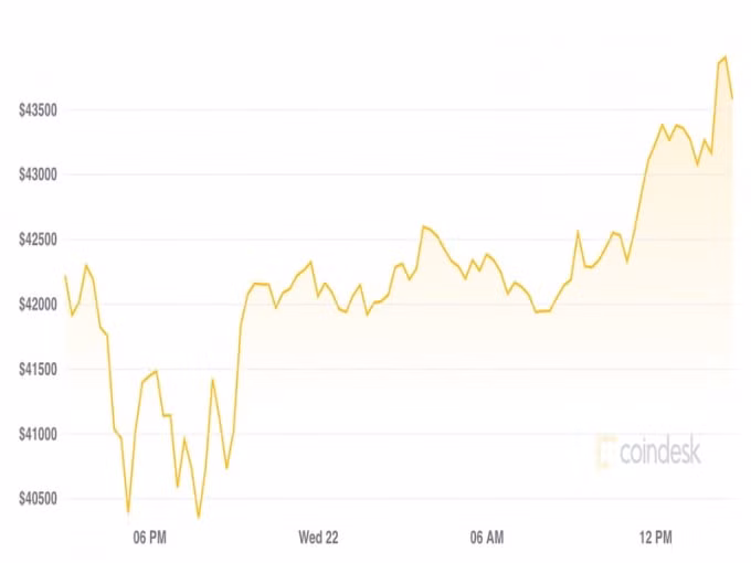 gia bitcoin hom nay 23 9 thi truong dan hoi phuc hinh 1