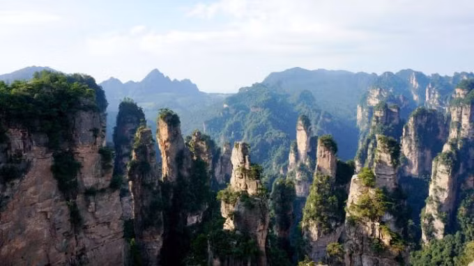 cat ba lot top vuon quoc gia an tuong nen toi sau dai dich hinh 3