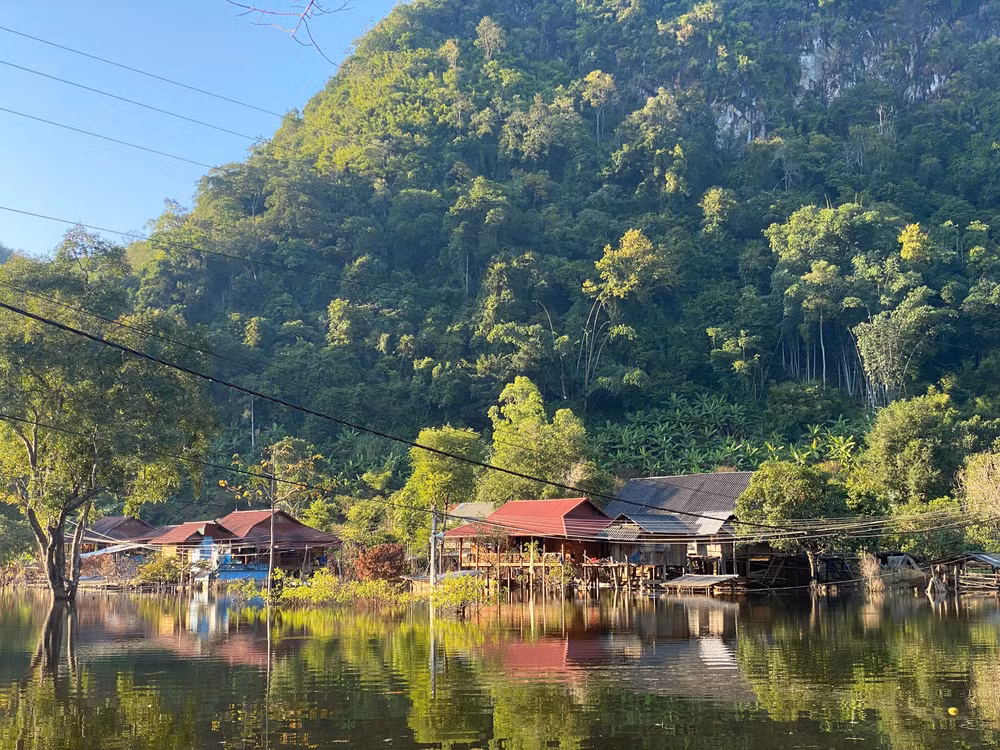 hang loat sai sot trong lap quy hoach lam nghiep quoc gia hinh 1