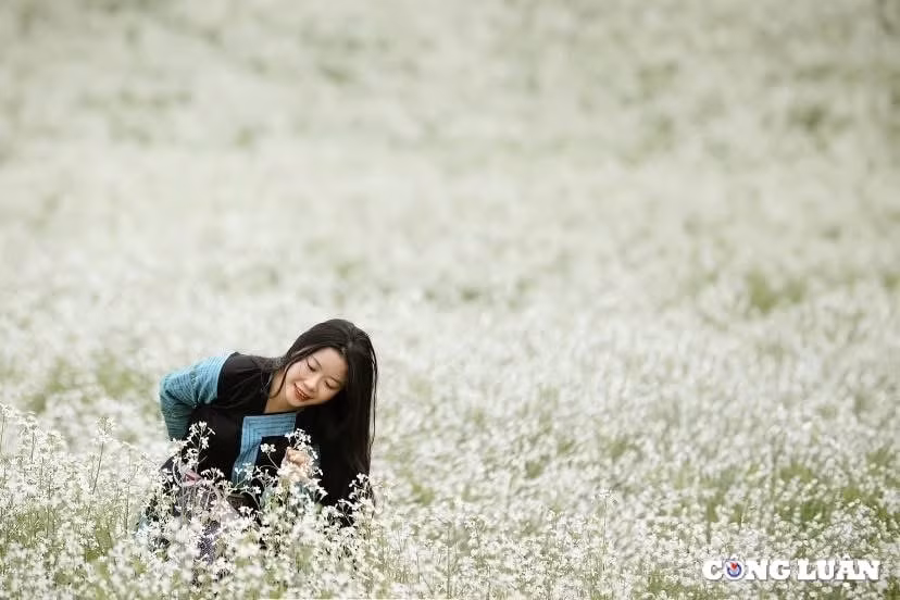 thay gi tu nhung con sot hoa man cua moc chau hinh 4