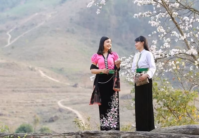 chuoi hoat dong hap dan tai le hoi hoa ban 2025 hinh 2