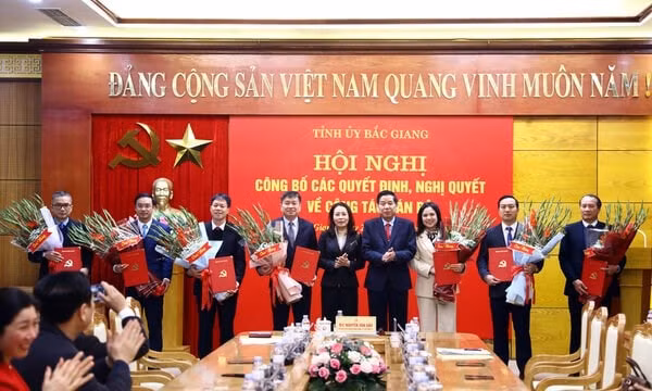 bac giang bo nhiem nhieu lanh dao chu chot hinh 1