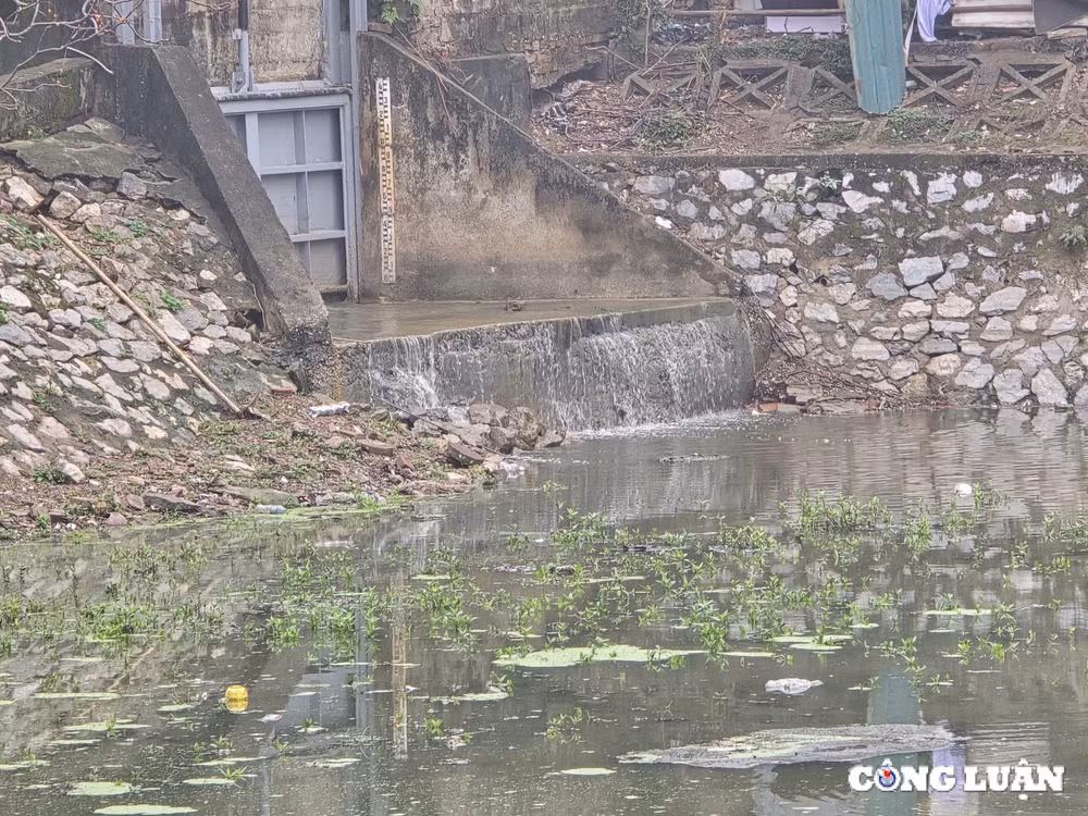 ho dieu hoa 21000 m2 o ha noi hoi sinh sau thoi gian can tro day hinh 2