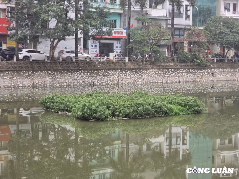 ho dieu hoa 21000 m2 o ha noi hoi sinh sau thoi gian can tro day hinh 5