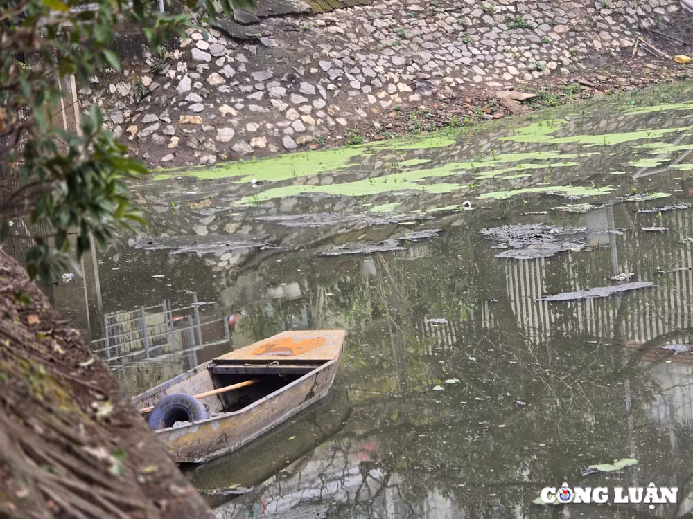 ho dieu hoa 21000 m2 o ha noi hoi sinh sau thoi gian can tro day hinh 4
