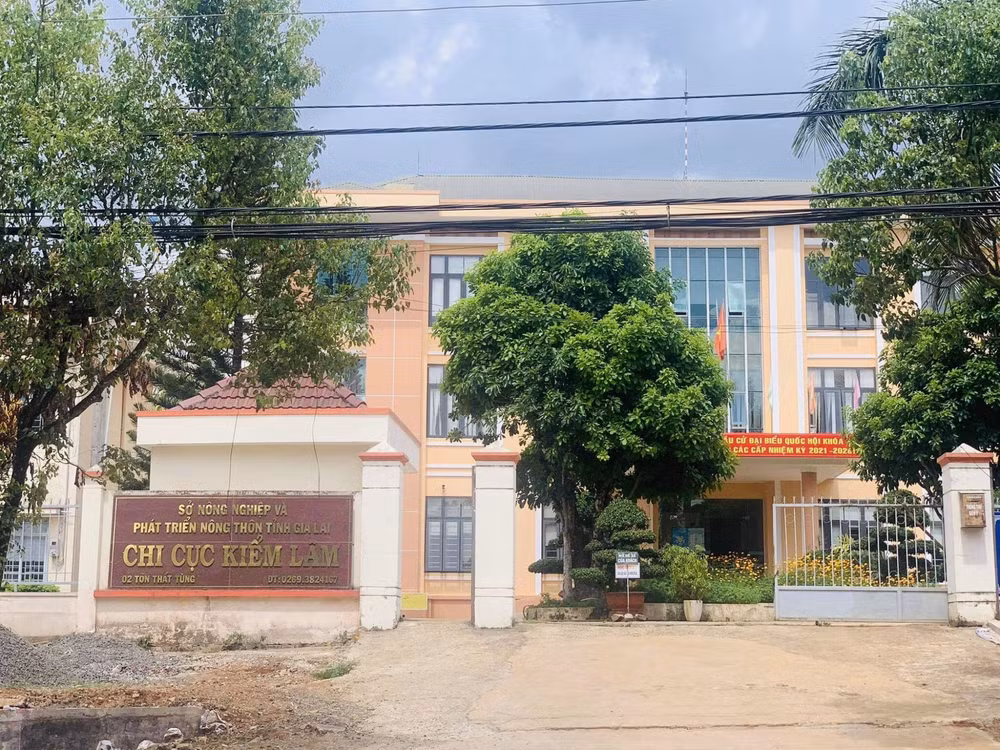 mot so o gia lai co 134 nguoi xin nghi huu truoc tuoi thoi viec hinh 1