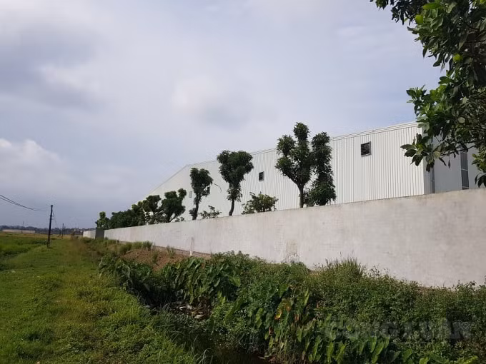 Hàng nghìn mét vuông đất nông nghiệp, đất công đã bị Công ty Cổ phần chế biến nông sản thực phẩm xuất khẩu Hải Dương tự ý chuyển đổi mục đích sử dụng nhằm 