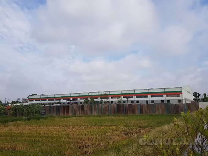 Nhà máy sản xuất bao bì carton xây dựng không phép với quy mô 18.000m2 của Công ty Cổ phần chế biến nông sản thực phẩm xuất khẩu Hải Dương do ông Nghiêm Trọng Tuấn làm giám đốc tại xã Hồng Lạc, huyện Thanh Hà, tỉnh Hải Dương.