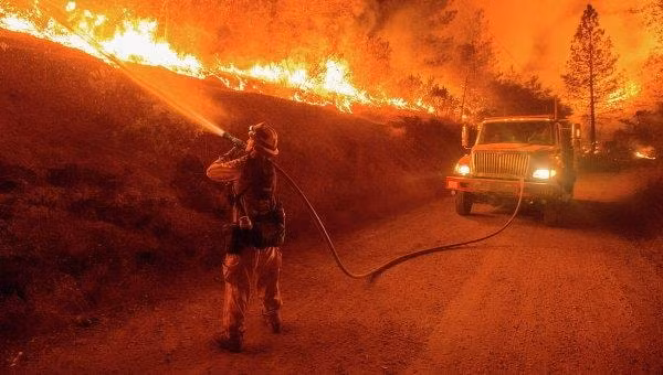 Lính cứu hỏa đang nỗ lực dập lửa trong đám cháy rừng tại California, Mỹ - Ảnh: Reuters