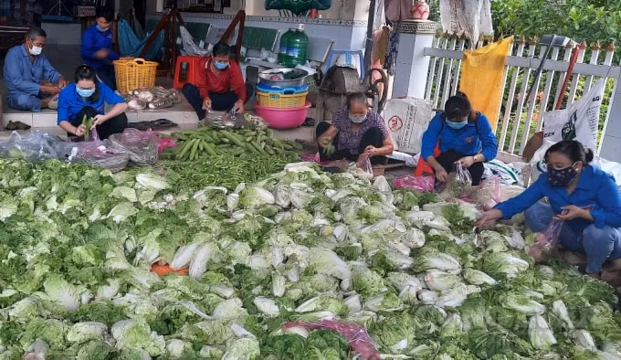 Các chiến sĩ áo xanh thu hoạch nông sản giúp người dân