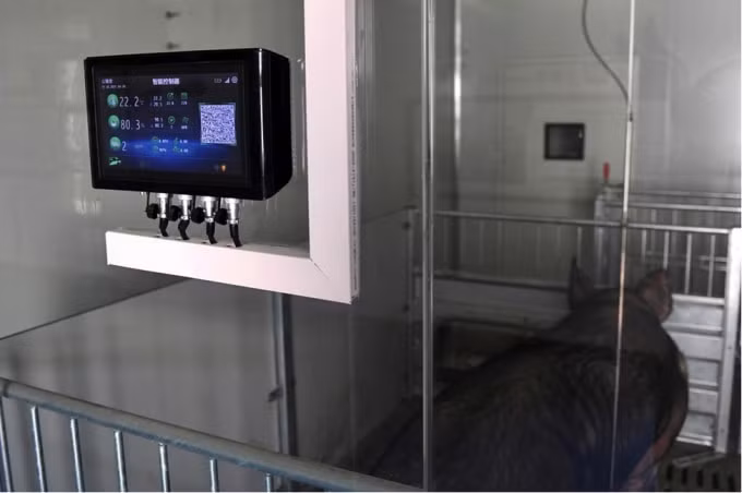 Thiết bị kiểm soát nhiệt độ và độ ẩm tự động tại trang trại lợn ở thành phố Gia Hưng (Chiết Giang, Trung Quốc). Ảnh: Bloomberg.