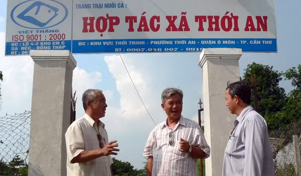 Ảnh minh họa. Nguồn: Internet