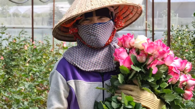 Sở Công Thương Lâm Đồng cho hay, dịch Covid-19 diễn biến phức tạp đã tác động xấu đến việc tiêu thụ nông sản trên địa bàn tỉnh.