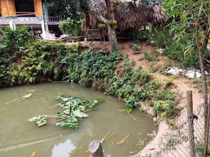 Địa điểm xảy ra vụ việc.
