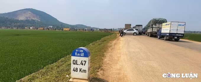 chua co viec bao ke nuong tay cho xe qua tai tren dia ban tinh thanh hoa hinh 1