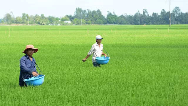 xung dot nga ukraine chua ha nhiet nhieu doanh nghiep than troi vi vat gia leo thang hinh 1