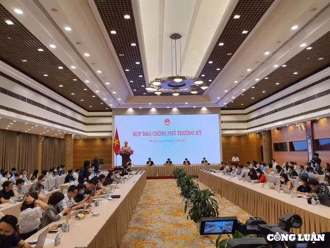 bo tai nguyen va moi truong co hien tuong de lo thong tin thong dong trong dau gia dat hinh 1