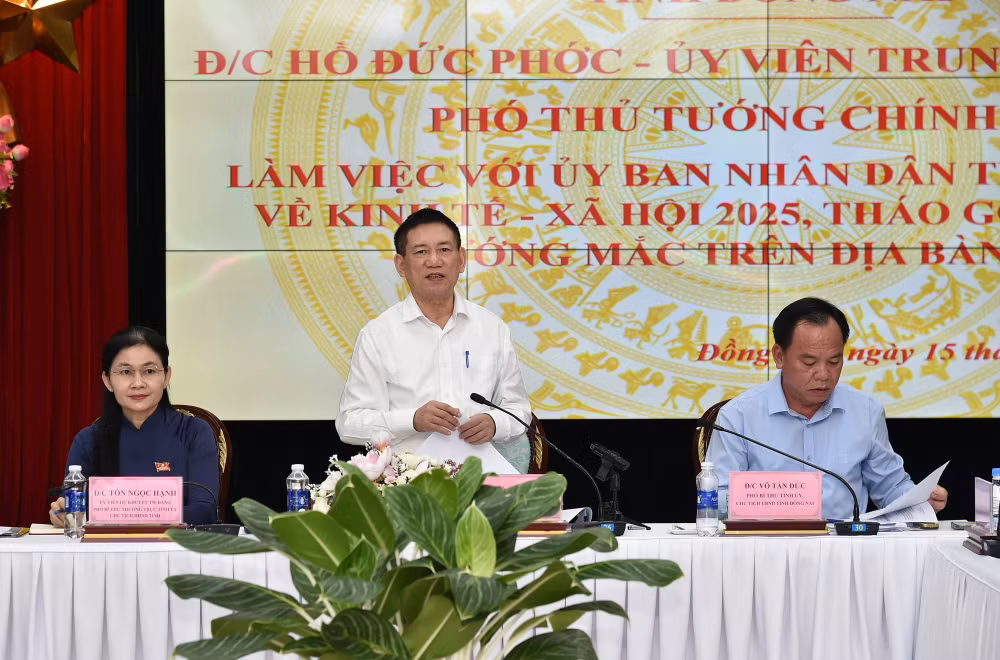 Phó Thủ tướng Hồ Đức Phớc: Xây dựng Đồng Nai trở thành tỉnh đứng đầu cả nước- Ảnh 1.