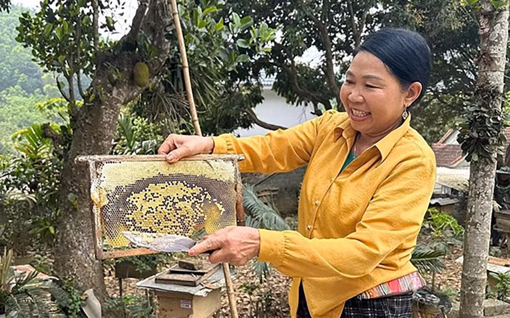 Ninh Bình Nỗ lực thực hiện giảm nghèo bền vững vùng đồng bào dân tộc thiểu số